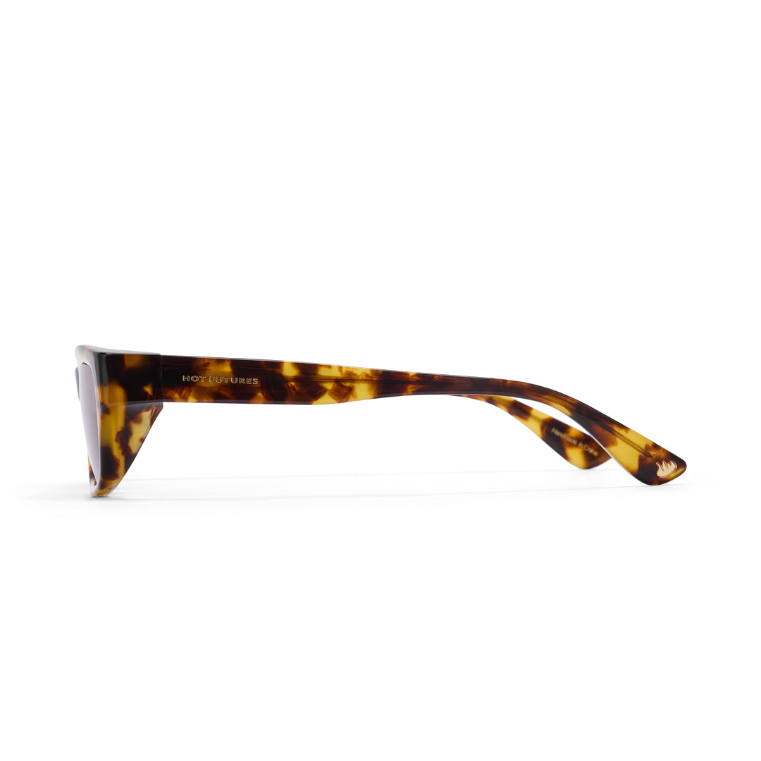 Sunglasses with tortoiseshell frame on a white background