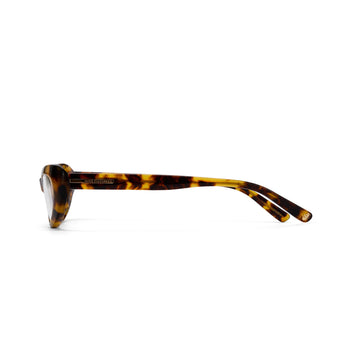 Sunglasses with tortoiseshell frame on a white background