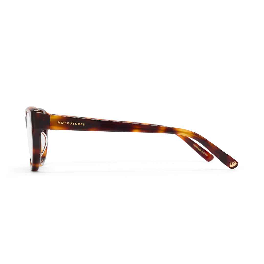 Sunglasses with tortoiseshell frame on a white background