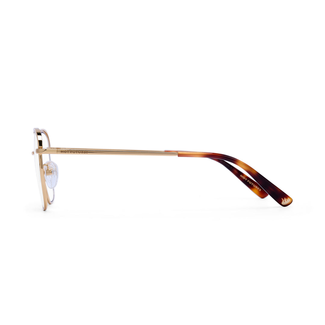 Eyeglasses with gold frame and tortoiseshell arms on a white background